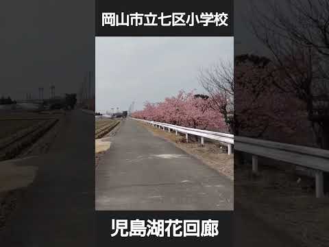 児島湖花回廊、七区小学校