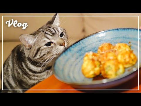 When I baked octopus for my wife, my cat became like this w / New Year's arrangement [Living vlog]