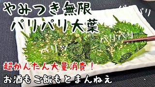 まるで韓国のりを超えた旨さ！【やみつきパリパリ無限大葉】大葉しそ大量消費 簡単絶品おつまみ副菜 作り置き 人気レシピ