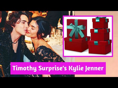 OMG Timothy Chalamet's Amazing Christmas Gift Box to Kylie Jenner Gets the Internet Talking