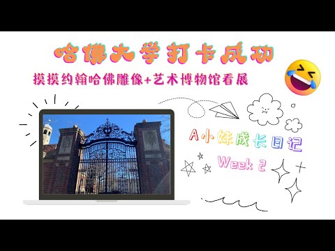 2023哈佛大学打卡vlog之在哈佛躺平是一种什么样的体验