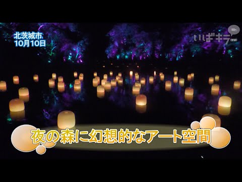 夜の森に幻想的なアート空間【いばキラニュース】R6.10.15