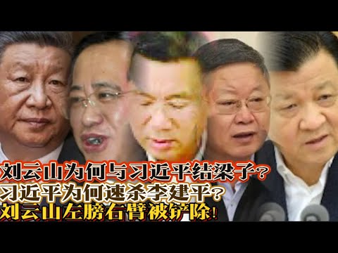 习近平为何与刘云山结梁子？习近平为何速杀李建平？刘云山左膀右臂被剪除！