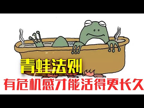 什么是【青蛙法则】|20分钟读懂青蛙法则|有危机感才能活得更加长久#人生智慧#好書推薦#人性#经典传奇#每天读本书#读书笔记#读后感