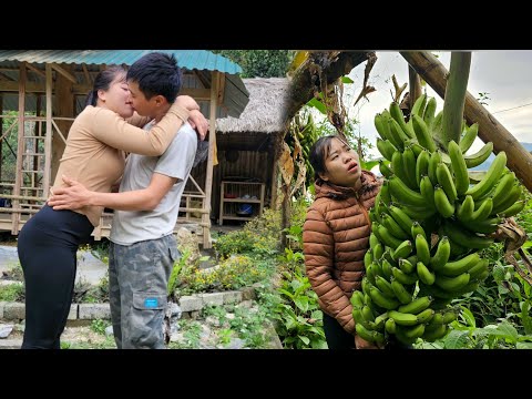 Kind man helps earn extra income - Linh picks green bananas to bring to the market | Linh's Life