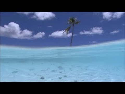 放松音乐 — 海的声音(马尔代夫) Sounds for Relaxation (Maldives) 放鬆的地方