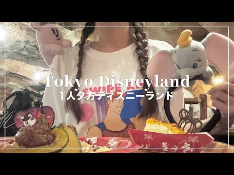 1人ディズニーランド🏰ファンダフルエリアでReach for the Stars観た🪄【Disney Vlog】