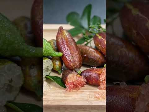 Australian Finger Lime - The Caviar Of Fruits 😲