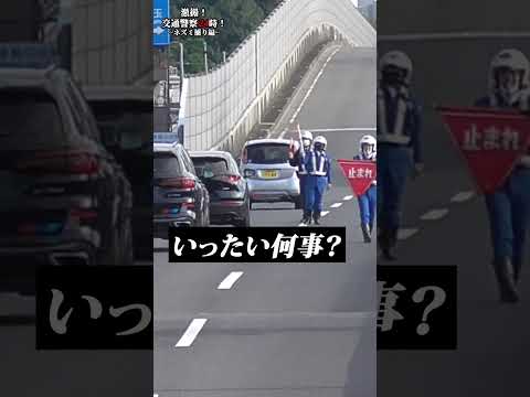 大勢の警察官が一斉に道路脇から飛び出す！いったいなぜ！？その真実は   【ネズミ捕り】