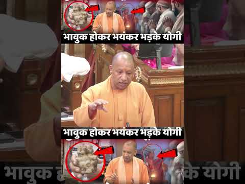 | Story of Sambhal | Temple in Sambhal | CM Yogi | Jama Masjid | kalki avatar |