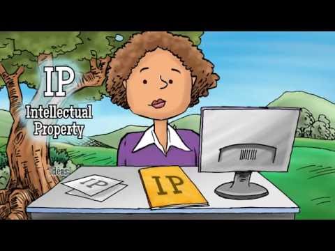 Intellectual Property: MediaPro Privacy Awareness Animation