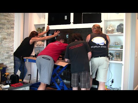 Reef Tank Set Up, LA Fishguys, Episode 167 Part 1