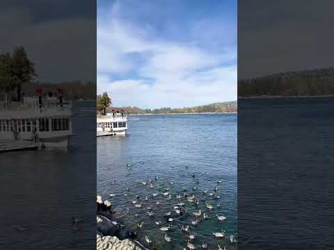 No matter what season, Lake Arrowhead is always worth a visit💕🧡🍁 #shorts