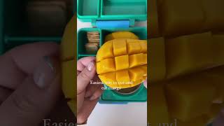 Quick and easy lunchbox #shorts #youtubeshorts #foodkidslove #lunchboxideasforkids