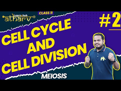 Cell Cycle and Cell Division  Class 11 Biology NCERT Chapter 10 #2  | Meiosis  | Atharv Batch