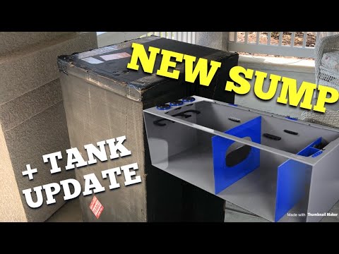 New Sump, skimmer arrives + tank update