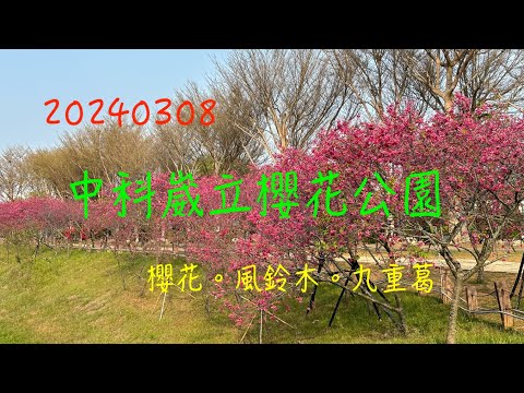 萬ㄟeye台灣20240308中科崴立櫻花公園   4K