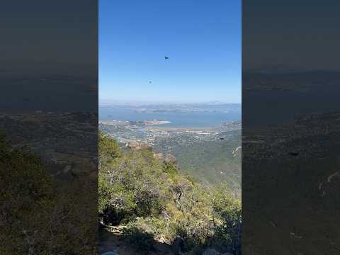 Amazing view of butterflies & San Francisco Bay Area from Mount Tamalpais East Peak in California!