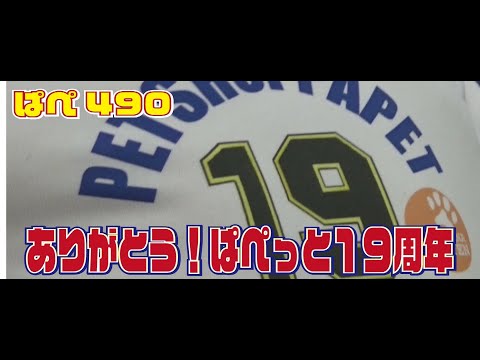 ありがとうぱぺっと１９周年～ぱぺ490