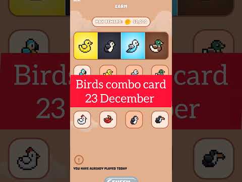 BIRDS 23 DECEMBER COMBO CARD