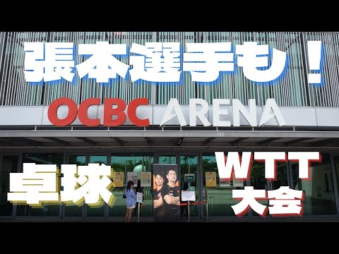 ＜シンガポール＞コロナ禍の国際大会はどうなっている？【張本選手動画あり！】