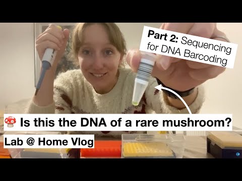 🍄 Is this a rare mushroom? DNA Barcoding Part 2: Sequencing