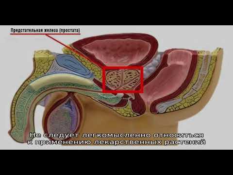 Симптомы простатита и лечение в домашних условиях