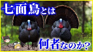 【ゆっくり解説】何故クリスマスに七面鳥？「七面鳥」とは何者なのか？を解説