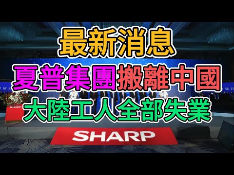 外資對中國徹底撕破臉！日資夏普撤離大陸，上海夏普科技開始大裁員，超600名大陸人失業！中國政府對待外資的態度坑苦了老百姓！ | 窺探家【爆料频道】