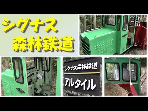 【Kansai Outing Spot】Shignas Forest railway