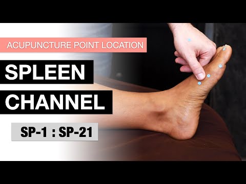 Acupuncture Point Location: The Spleen Channel (SP-1 to SP-21)