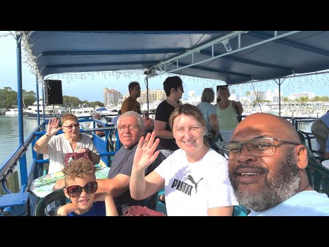 Dolphin Watching In Sarasota Day(Family Fun Day)