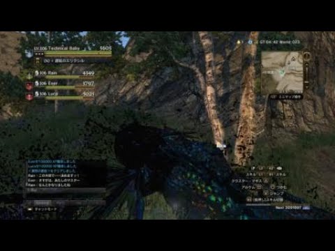 [DDON]  新WQ  激昂の邂逅　ポーンPT