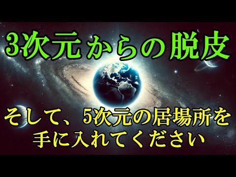 【3次元からの脱皮】どのようにして個々の魂が5次元地球での居場所を確保しているのか？【アンドロメダ評議会】