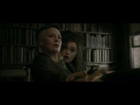 Harry Potter and the Half Blood Prince/Best scene/Helena Bonham Carter/Alan Rickman/Helen McCrory