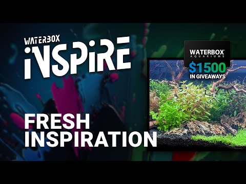 Get Some Fresh Inspiration - INSPIRE Day 2