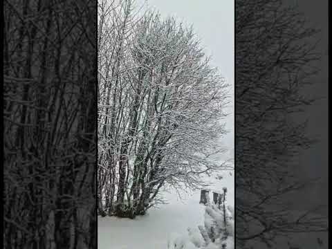 دخلو تشوفو عاصمة ثلجية عندنا في شهر مارس الله يلطف بينا 🥹🤲Blizzard,Snowstorm,winter storm,