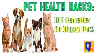 Pet Health Hacks: DIY Remedies for Happy Pets!