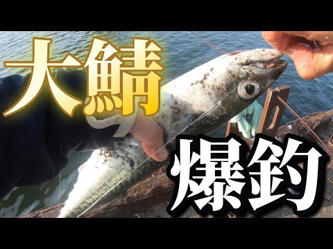 【北海道】【釣り】大サバ爆釣！チョコラさんは猛爆釣！次回予告！記録更新！ついにあの人と遭遇！