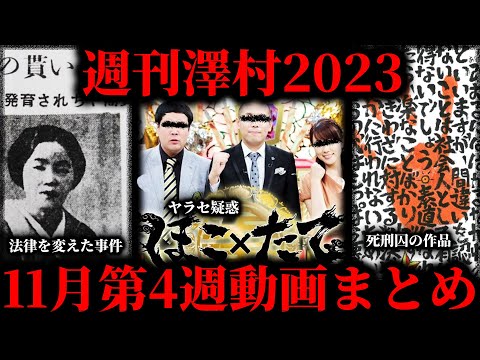 【週刊澤村2023】11月第4週たっくー動画まとめ【たっくー切り抜き】