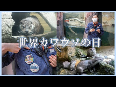 カワウソについて考える日 / World Otter Day