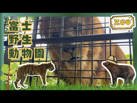 【東京近郊EP4】此生必來！富士野生動物園✨超近距離接觸猛獸、高潮迭起興奮滿滿！