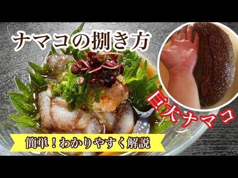 実は簡単!!捌き方とナマコポン酢の作り方必見です