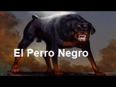 el perro negro jose alfredo jinenez letra