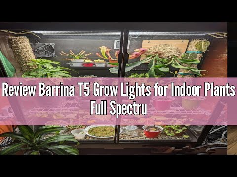 Review Barrina T5 Grow Lights for Indoor Plants Full Spectrum, 2ft 40W (4 x 10W, 250W Equivalent), L