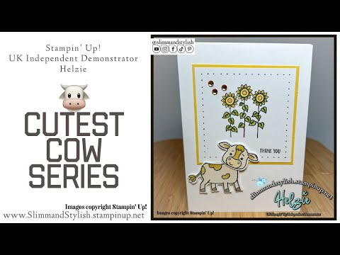 Cutest cow card 4