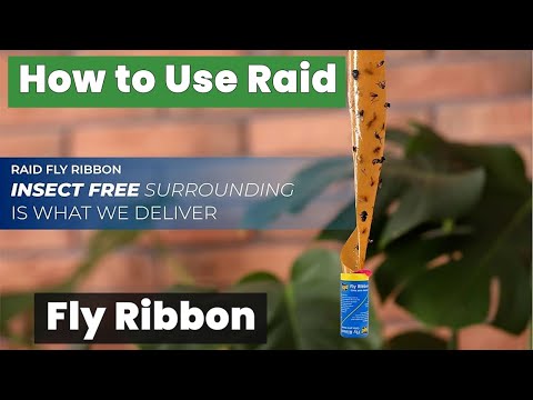 How to Use Raid Fly Ribbon to Rid Your Home of Flies Instantly!