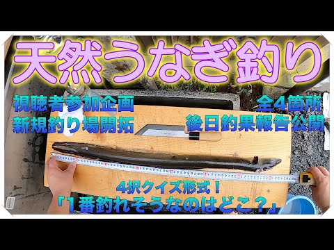 天然うなぎ釣り 視聴者参加企画 新規釣り場 4択クイズ どこが1番釣れそうですか〜企画