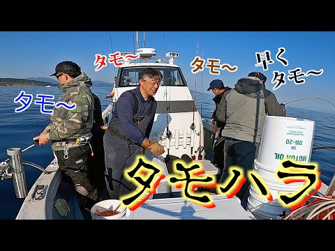 【真鯛】みんなで「タモ入れハラスメント」‼︎ しかぁ〜し船長は泣かず、笑顔でした😊