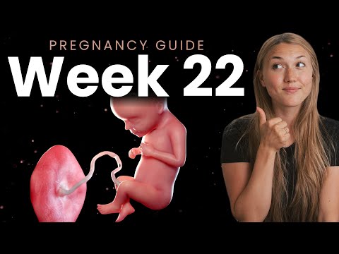 22 Weeks Pregnant | Week By Week Pregnancy